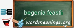 WordMeaning blackboard for begonia feastii